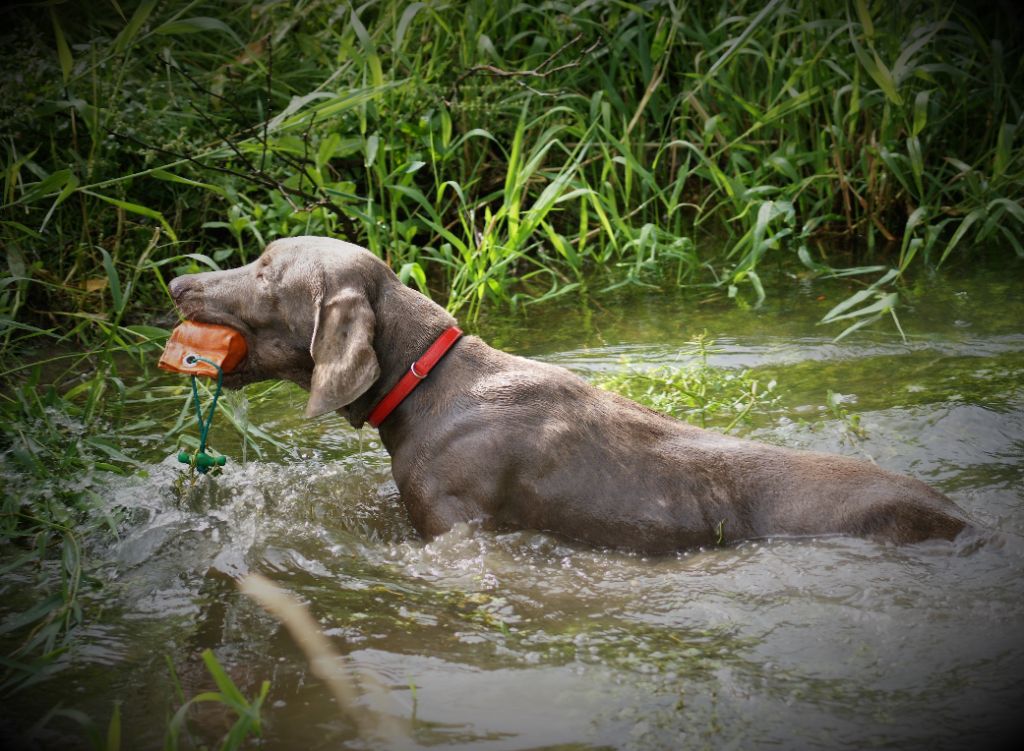 Windrose Around - RAPPORT A L'EAU!!